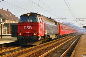 DSB MZ 1442 med P 5035 Kk-Nf. Ringsted 17.03.1990.