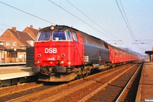 DSB MZ 1445 med P 5051 Hgl-Nf. Ringsted 17.03.1990.