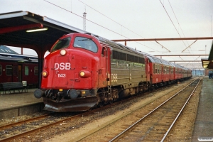 DSB MY 1143+Bn-n+Bn-n+Bk+BDan+MY 1121 som P 8086 Re-Ngf. Odense 30.06.1991.