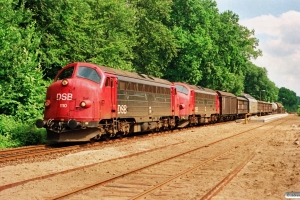 DSB MY 1110+MY 1146 med G 7251 Svg-Od. Fruens Bøge 09.07.1991.