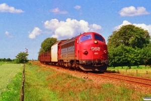 DSB MY 1150 med G 7740 Sj-Hr. Borris 28.06.1993.