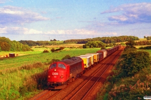 DSB MY 1113 med G 7651 Gb-Es. Km 25,7 Fa (Kolding-Lunderskov) 28.08.1993.