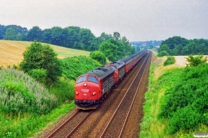 DSB MY 1118+MY 1152+6 B+B-t+BDan+B-t+B+B som IR 8255 Te-Str. Km 25,7 Fa (Kolding-Lunderskov) 28.07.1994.