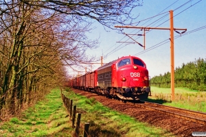 DSB MY 1149 med G 7356 Vm-Pa. Km 100,5 Fa (Tinglev-Vejbæk) 01.05.1995.