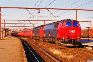 DSB MZ 1442+MZ 1449 med RØ 2473 Ro-Næ. Roskilde 02.07.1995.