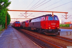 DSB MZ 1401+MY 1151 med GK 42893 Tl-Pa og MZ 1429+MY 1131 med GK 43791 År-Pa. Kolding 07.07.1995.