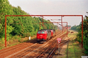 DSB MZ 1411+MZ 1413 solo som M 7152 Es-Ng. Ullerslev 24.09.1995.