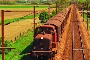 DSB MT 161+14 Hbis som G 7273 Næ-Ngf. Km 67,6 Kh (Ringsted-Fjenneslev) 13.05.1994.