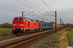 MZ (2001-2022)
