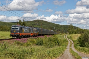 HCTOR 243.113+142.002 med GT 41453. Österås - Långsele 19.06.2018.