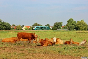 AT AR 1021 som RA 5822 Rb-Es. Km 8,8 Bm (Gredstedbro-Ribe Nørremark) 02.08.2014.