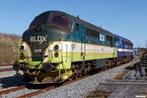 BLDX MX 1019+CONTC MY 1153. Odense 31.03.2019.