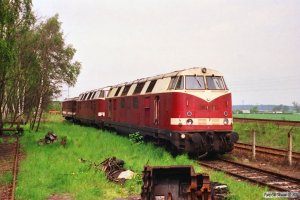 DR 118 121-3, 118 150-2 og 195 605-5 hensat. Haldensleben 20.05.1991.