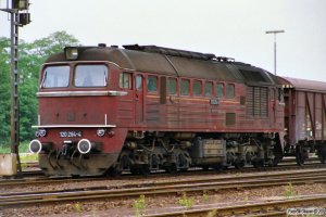 DR 120 294-4. Büchen 12.08.1989.