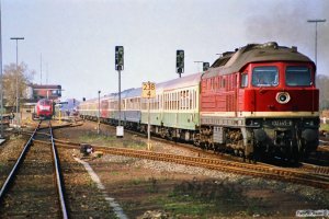 DR 132 445-8 med D 333. Büchen 31.03.1990.