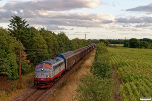 RCDK MY 1134 med RG 6102 Pa-Tl. Km 34,4 Fa (Lunderskov-Vamdrup) 05.08.2018.