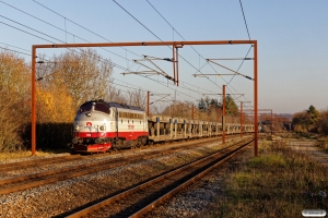 RCDK MY 1134 med RF 6803 Rg-Vm. Årup 16.11.2018.