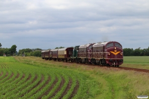 DSB MY 1101+MY 1135+MT 152+Uis+Buh+CLE+Hs-t+CLL+Bhl som VM 8003 Bm-Tdr. Km 4,8 Bm (Sejstrup-Gredstedbro) 20.06.2020.