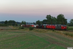 DSB MZ 1401+EA 3004+MY 1112+S 736 med VM 6607 Od-Rd. Km 172,6 Kh (Holmstrup-Tommerup) 19.08.2020.