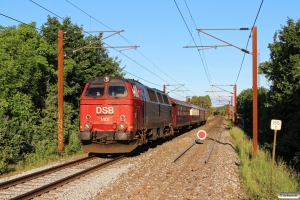 DSB MZ 1401+CC 1132+BU 3702+AC 42+AX 393 som VM 241403 Gb-Od. Km 155,8 Kh (Marslev-Odense) 11.06.2016.