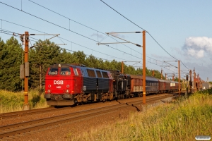 DSB MZ 1401+S 736+CPL 3255+WLABmh 819+DB 5101+AC 42+BU 3703+AX 393+CC 1132 som VM 6306 Ro-Od. Km 130,2 Kh (Sprogø-Nyborg) 03.08.2017.