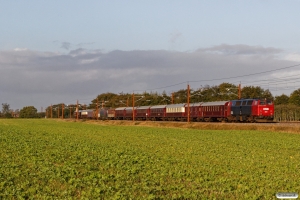 DSB MZ 1401 med VM 6304 Bm-Rd. Km 34,8 Lk (Gørding-Bramming) 06.10.2017.