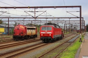 DSB Køf 285+DB 120 114-4 og RCDK MY 1134. Padborg 19.10.2013.