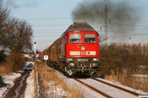 DB 233 233-6 med Tog 48789 Tdr-Maschen Rbf. Tønder 06.12.2012.