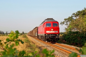 DB 232 259-2 med GD 138721 Es-Tdr. Km 20,4 Bm (Ribe-Hviding) 25.07.2014.