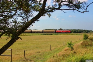 DB 232 568-6 med GD 138606 Tdr-Es. Km 8,8 Bm (Gredstedbro-Ribe Nørremark) 02.08.2014.