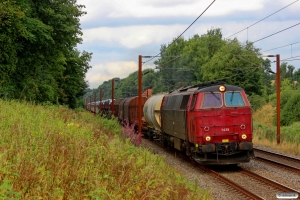 NEG MZ 1439 med G 88782 Pa-Fa. Km 26,6 Fa (Kolding-Lunderskov) 05.08.2014.