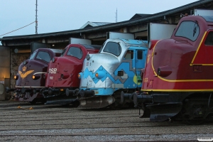 DSB MY 1101, MY 1112, MY 1126 og AMR MY 1155. Odense 06.09.2014.