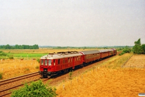 DSB MX 1001+BL 1324+ABv 293+B 2000+MO 554 som PX 8319 Rd-Hb. Km 179,4 Fa (Bjerregrav-Fårup) 13.08.1995.