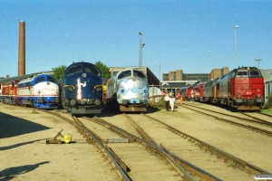 NJ M 11, SJ T41 204, DSB MY 1135, MY 1126, RDK MZ 1450, BDK MZ 1419, VL MX 103 og LJ M 38. Odense 14.08.2004.