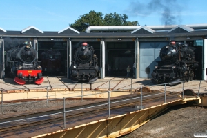 SJ F 1200, DSB E 994 og E 991. Odense 31.08.2008.