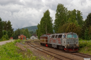 RCT TMZ 1405+NTA Ma 404 som EGt 8062 (Elverum-Kongsvinger). Flisa 16.06.2017.