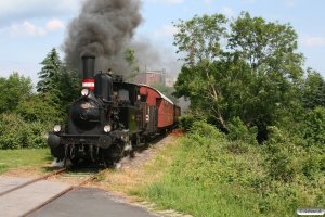 DSB F 654+FSF 10 Elo+FSF 30 BR bu+FSF 05+FSF 04+AB 1. Kappeln - Scheggerott 12.06.2011.