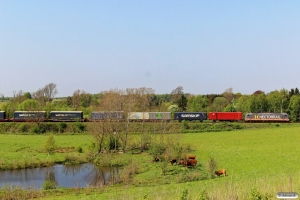 HCTOR 241.004 med HG 36604 Pa-Mgb. Km 166,2 Kh (Odense-Holmstrup) 10.05.2016.