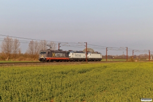 HCTOR 241.010+SIEAG 193 970+HCTOR 243.221 solo som HM 33598 Pa-Mgb. Km 142,8 Kh (Ullerslev-Langeskov) 30.04.2021.