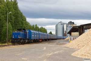 GRAS 6419. Braskereidfoss 22.06.2018.