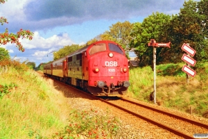 DSB MX 1025+A 001+B 158+BD 005 som P 8006 Øg-Tr. Tistrup 18.09.1993.