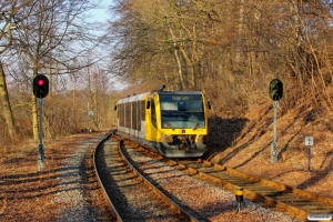 LB Lm 24 som Tog 191629 Jæt-Nær. Fuglevad 19.03.2015.