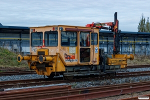 MALUS Trolje 178. Odense 03.11.2019.