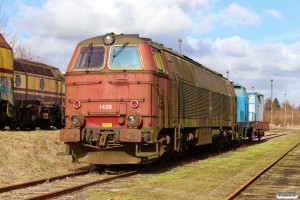 NEG MZ 1439 og DSB MH 203/DH 440. Padborg 04.03.2023.