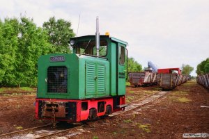 Lok 112 (Schöma 1986). Lille Vildmose 22.06.1995.