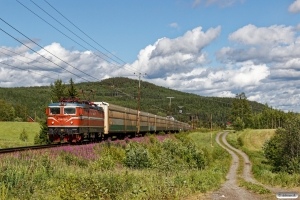 GC Rc4 1290 med GT 4051. Österås - Långsele 19.06.2018.