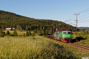 GC Rc4 1307+Rc4 1163+Rc4 1189 med GT 9107. Österås - Långsele 19.06.2018.