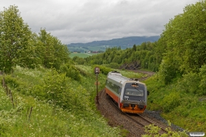 NSB BS 9260+BM 9210 som Pt 442 (Steinkjer-Søberg). Skogn - Ronglan 12.06.2017.