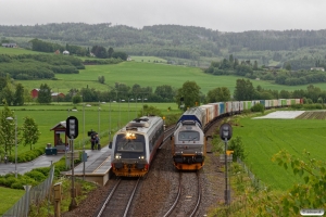 NSB BM 9203+BS 9253 som Pt 427 (Søberg-Steinkjer) og CN 312 003 med Gt 5795 (Trondheim S-Bodø). Bergsgrav 13.06.2017.