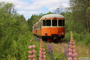 SJ URYp 1793+YBo5p 884+YBo5p 873 med tog Triabo-Åseda. Triabo 14.06.2014.